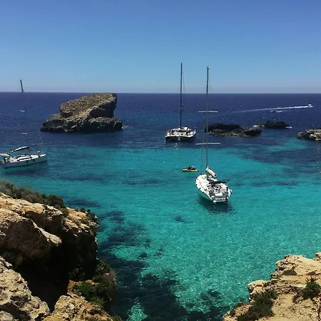 The Where Art Lives *